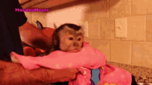 Wipe Monkey Meela GIF
