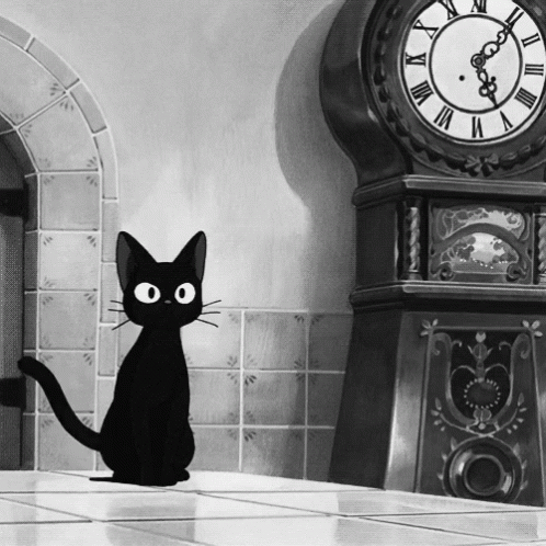Animated Black Cat GIFs | Tenor