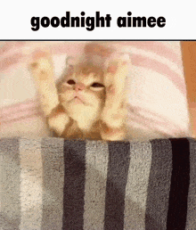 Goodnight Aimee Goodnight Astroaimee GIF - Goodnight Aimee Goodnight Astroaimee Z4str GIFs