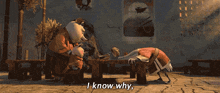 a cartoon duck laying on a wooden table with the words but why written below it