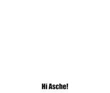 Asche Hi GIF - Asche Hi Hi Asche GIFs