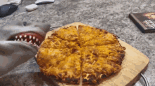 Shark Puppet Cheese Pizza GIF