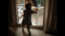 A Barking Dog Scares A Baby To Death! GIF - Cute Baby Dog GIFs
