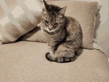 I Am So Lonely GIF - I Am So Lonely GIFs