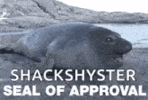 Seal Approval GIF - Seal Approval Seal Of Approval GIFs