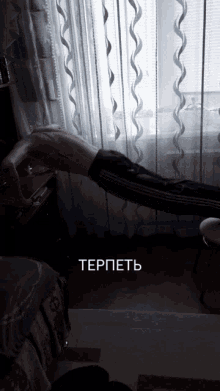 a person is doing a handstand in front of a window with the word teppetb on the bottom right