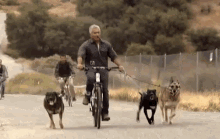Going For A Bike Ride GIF - Cesar911 Cesar911series Walking The Dog GIFs