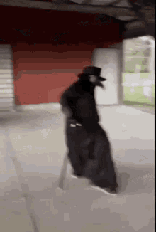GIF