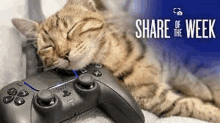 What do you think of PlayStation's Meme GIFs? : r/playstation