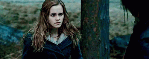 hermione granger year 7