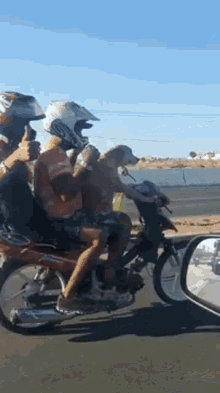 Dog Motorcycle GIF - Dog Motorcycle Ride GIFs