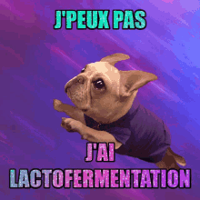 Lactofermentation Cant GIF - Lactofermentation Cant GIFs
