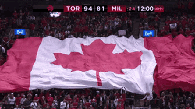 Canada Canadian Flag GIF - Canada Canadian Flag Toronto Raptors - Discover  & Share GIFs