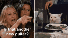 Cat Guitar GIF - Cat Guitar Is That Another Guitar GIFs