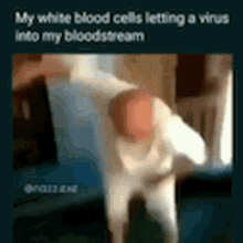 White Blood Cells Virus GIF - White Blood Cells Virus Letting In GIFs