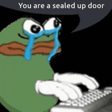 a cartoon frog is crying while typing on a keyboard with the words " you are a sealed up door " above it