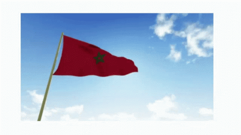 Maroc Flag GIF - Maroc Flag - Discover & Share GIFs
