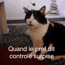 Chat Controle GIF