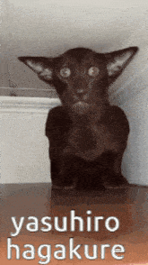 a black cat is sitting on a table with the words yasuhiro hagakure written on the bottom