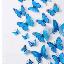 Bluebutterflies Blue Butterfly GIF - Bluebutterflies Blue Butterfly Butterfliesinflight GIFs