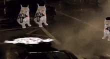 a group of cats with guns are walking down a street next to a car .