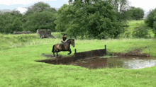 horse back riding failarmy chaos at the lake thrown off fall