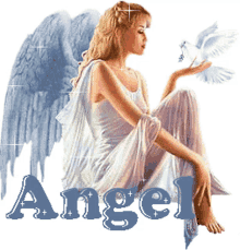 angel dove bird fallen angel white angel