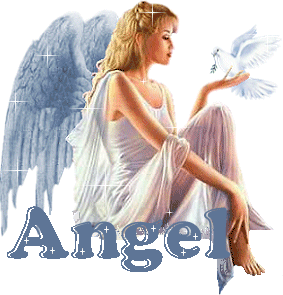 Angel Dove Sticker - Angel Dove Bird Stickers