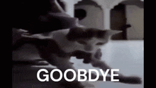 Goobdye Cat GIF - Goobdye Cat Goodbye GIFs