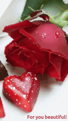 For Beauty Redfl557 GIF - For Beauty Redfl557 Rose557 GIFs