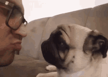 Beijos Cachorro GIF - Beijos Cachorro Pug GIFs