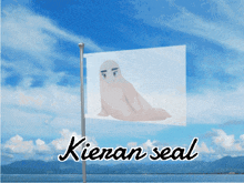 Kieran Seal Kieran Seal Flag GIF - Kieran Seal Kieran Seal Flag GIFs