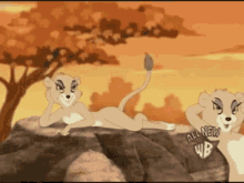 Tom And Jerry Lioness GIF - Tom And Jerry Lioness Cartoon Cat GIFs