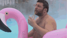 Sqreen Died GIF - Sqreen Died Flamingo GIFs