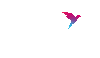 a pink and blue bird is flying in the air on a white background