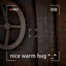 a video of a giraffe giving a hug with the words nice warm hug below it
