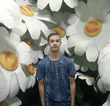 a young man in a blue shirt stands in front of giant daisies