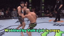 two men are fighting in a boxing ring with the words wobbled by volks jab is crazy above them