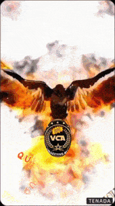 a picture of an eagle with the words vca collective at the top