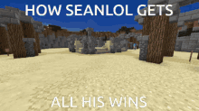Seanlol Bsg GIF - Seanlol Bsg Blitz Survival Games GIFs