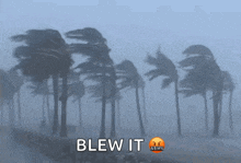 Hurricane Windy GIF