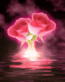 Roses Pink Roses GIF