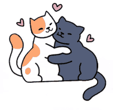 Love Cats GIF - Love Cats Hug GIFs