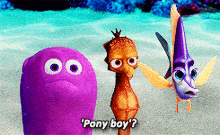 Finding Nemo Ponyboy GIF - Finding Nemo Ponyboy GIFs