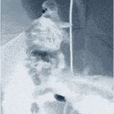 a cat is hanging upside down from a rope in a bathroom .