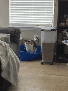 Cat Pooping GIF - Cat Pooping Taco GIFs
