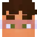 a pixel art drawing of a person 's face with brown hair .