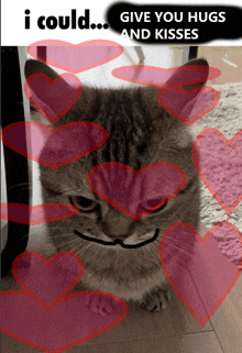 Cat Gives You Hugs And Kisses GIF