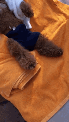 Relaxing Dog GIF - Relaxing Dog Chilling GIFs