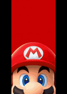 Mario Supermario GIF - Mario Supermario Mario Brothers GIFs